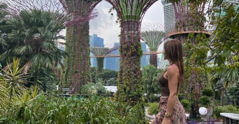 Información para tu viaje a Singapur por libre