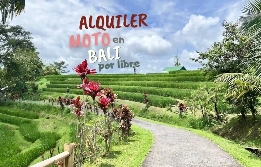 Impresionantes terrazas de arroz en Bali con mensaje de alquiler de moto.
