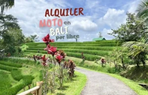 Impresionantes terrazas de arroz en Bali con mensaje de alquiler de moto.
