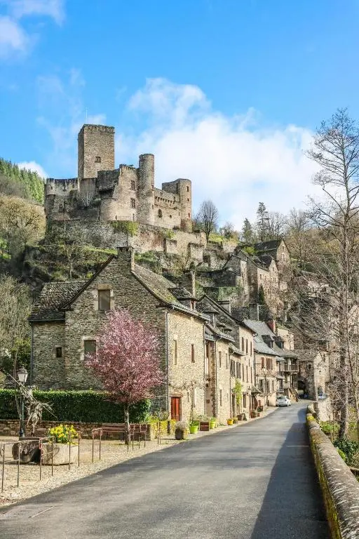 Pueblo histórico con castillo medieval y árbol florido bajo cielo azul.