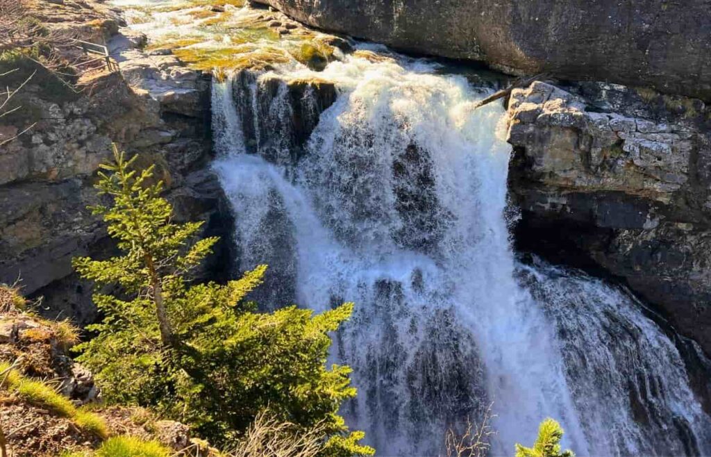 Salto de agua con gran caudal en el río Arazas rodeado de bosque.
