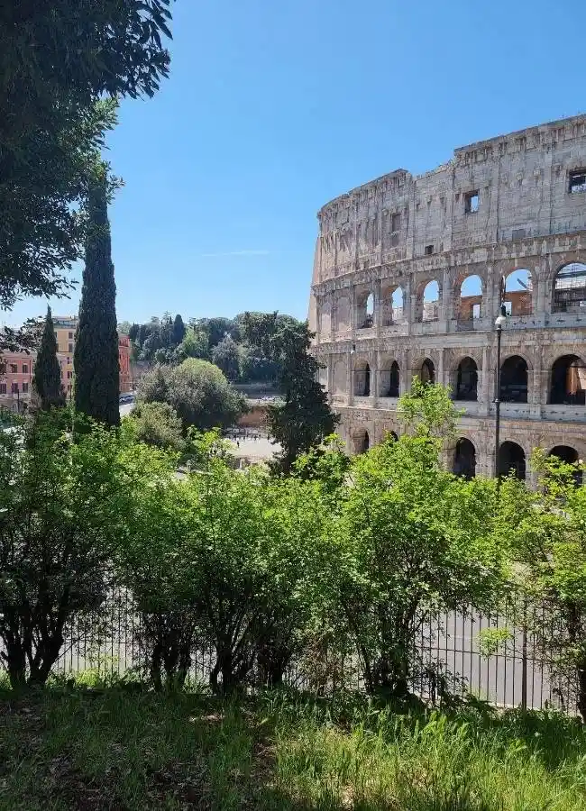 Vista del Coliseo Romano enmarcado por cipreses y vegetación verde desde las colinas arqueológicas.