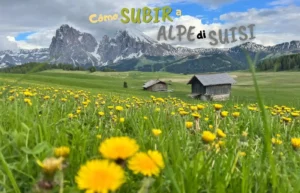 Alpe di Siusi, Dolomitas. Prados, dientes de león, montañas nevadas y cabañas.