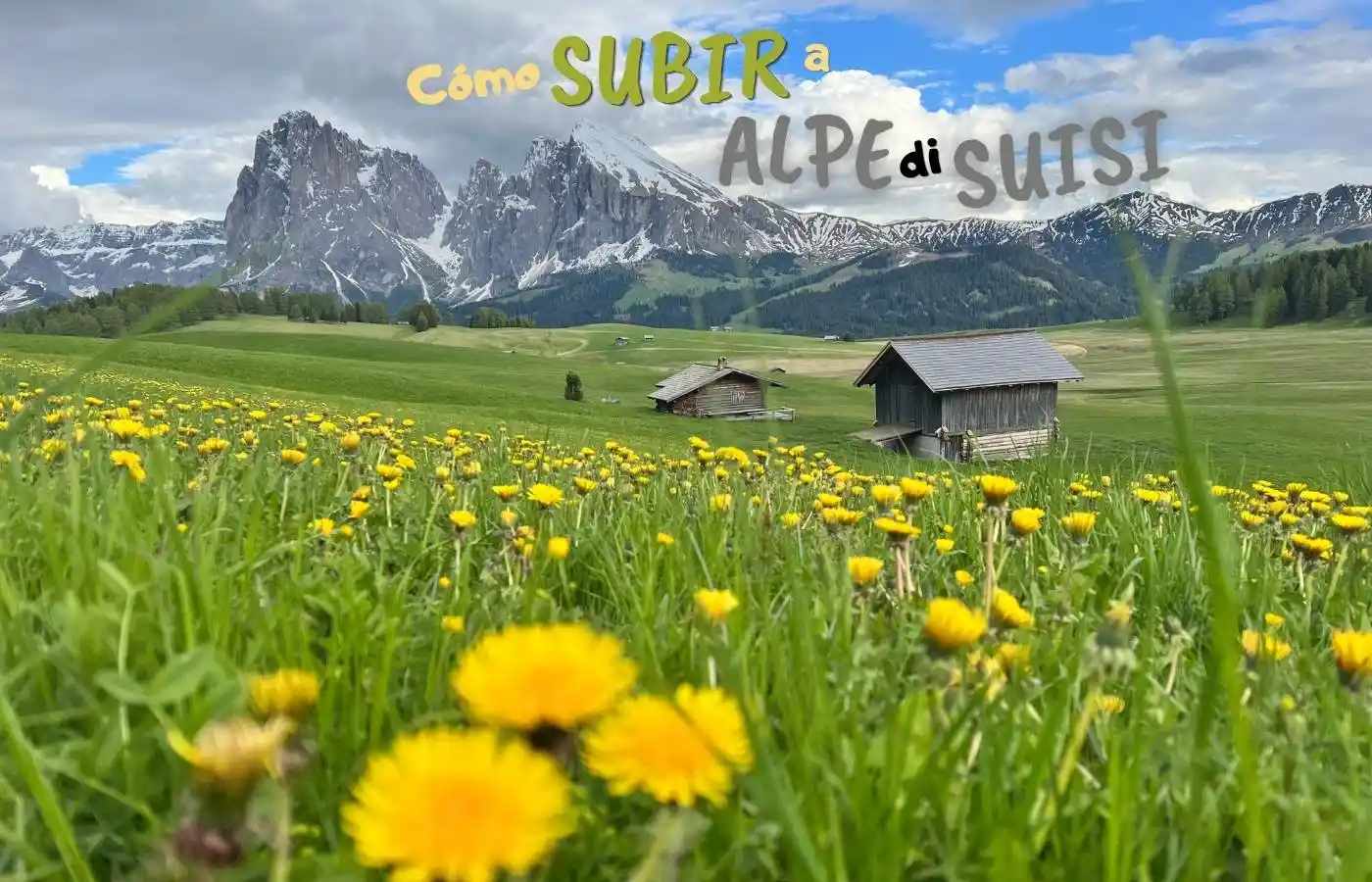 Alpe di Siusi, Dolomitas. Prados, dientes de león, montañas nevadas y cabañas.