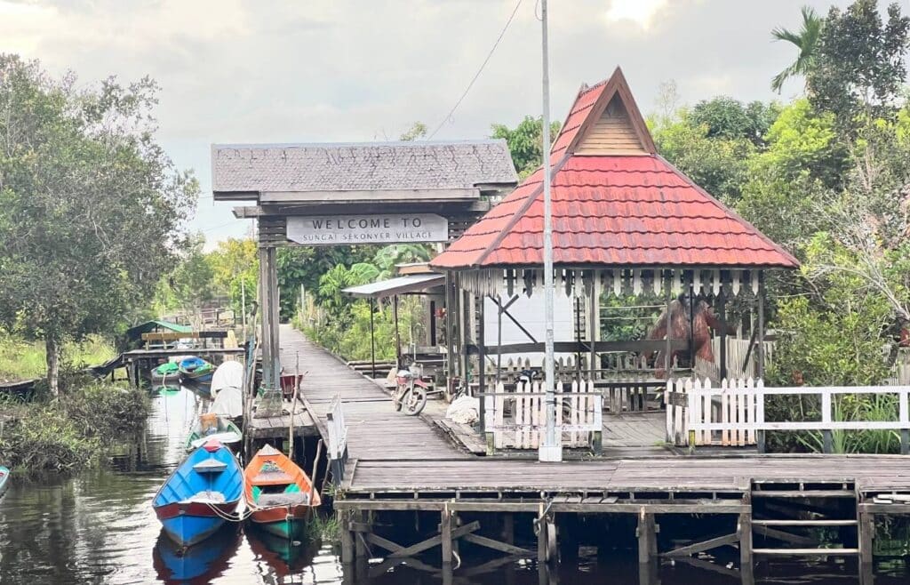 Entrada a Sungai Sekonyer: río, barcos coloridos, naturaleza exuberante.