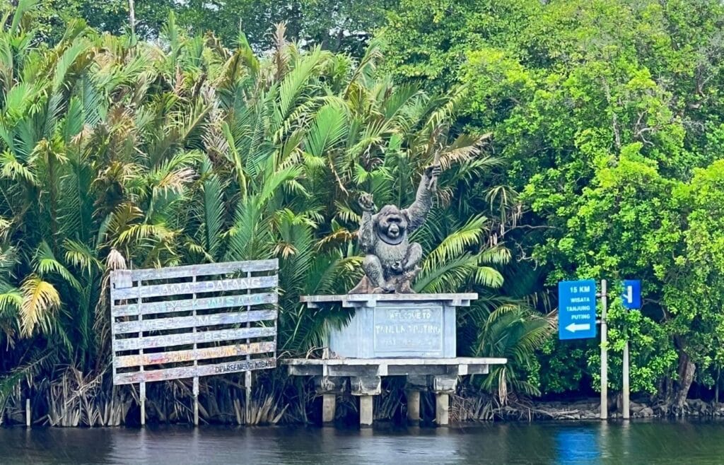 escultura entrada parque nacional tanjung puting