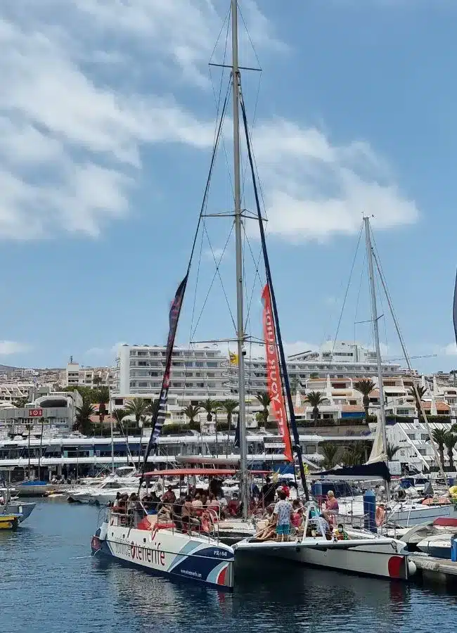 Barco catamarán de turistas saliendo a navegar para ver cetáceos en Tenerife.
