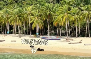 playa paradisiaca de filipinas repleta de palmeras y arena blanca