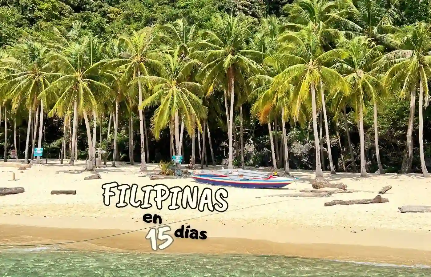 playa paradisiaca de filipinas repleta de palmeras y arena blanca