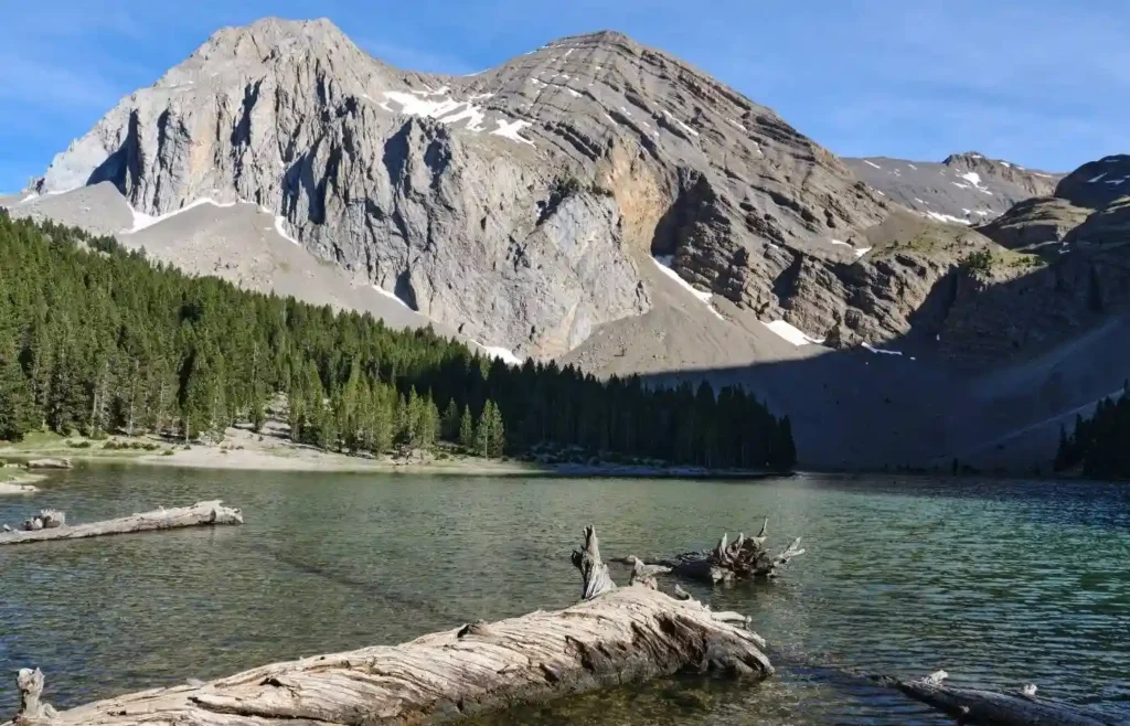 Lago de montaña, bosque y picos nevados bajo cielo azul.