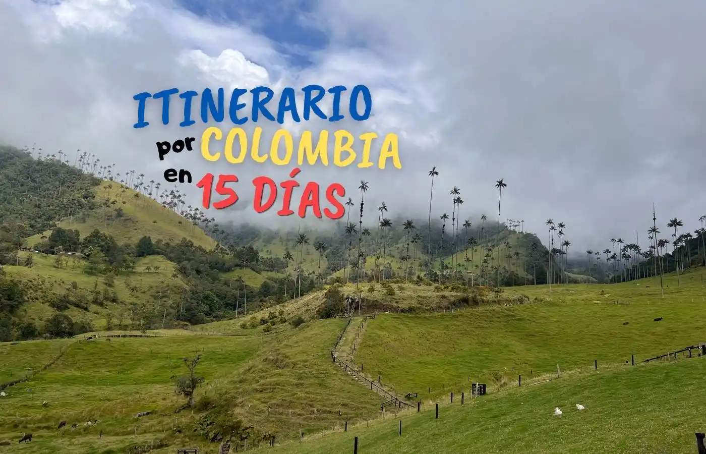 Valle de Cocora, Colombia: Itinerario por 15 días.