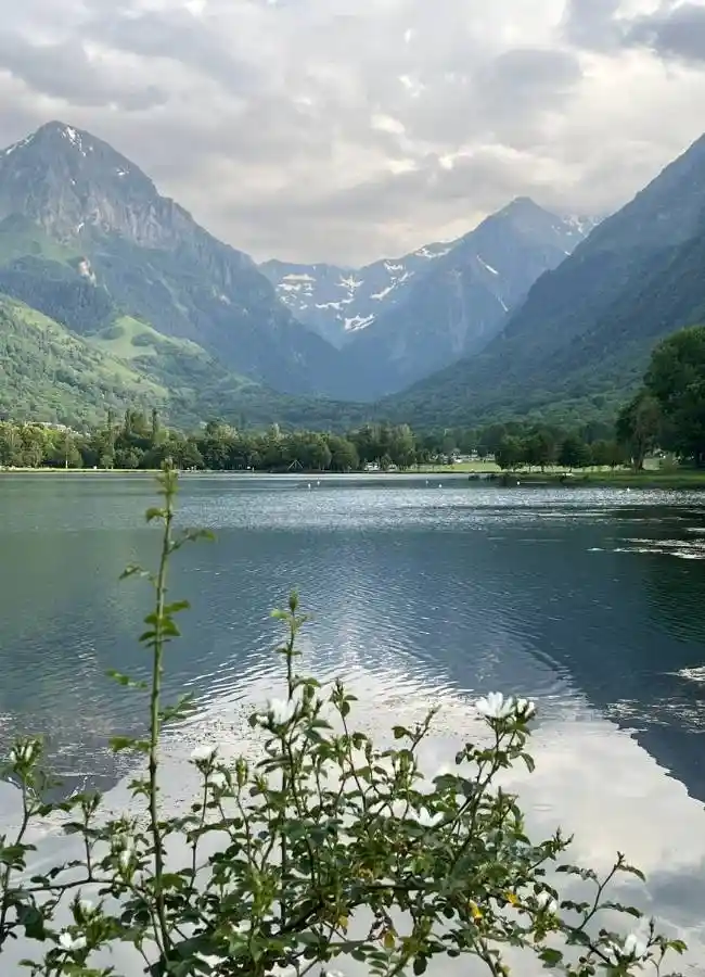 Lago de montaña bajo cielo nublado con plantas en primer plano.
