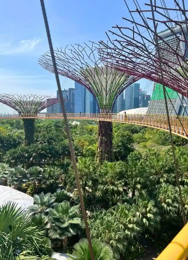 Vista de la pasarela suspendida OCBC Skyway entre los Supertrees.