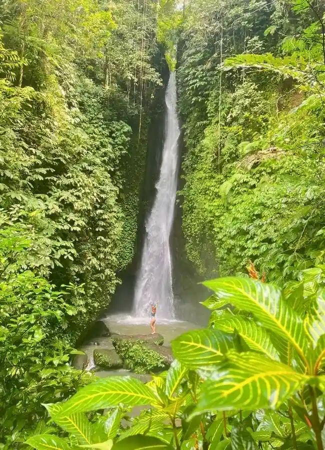 Una gran cascada de agua cayendo en mitad de un cañón verde y selvático en Bali.