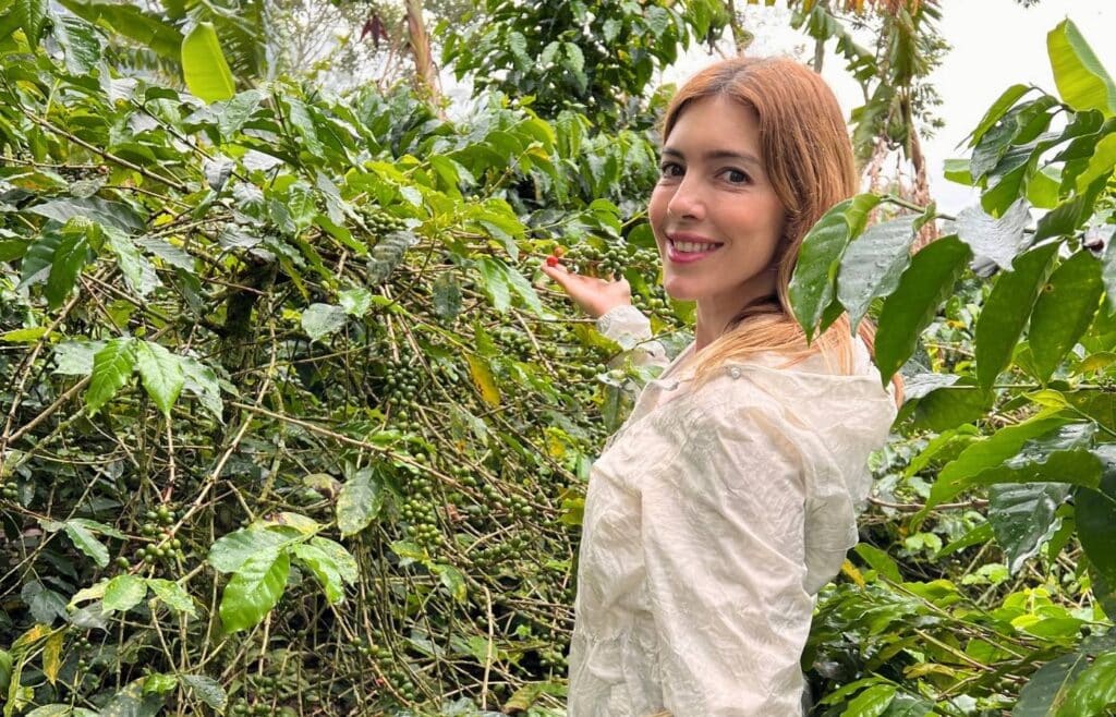 Viajera aprendiendo a recolectar granos de café maduros en un cafetal de Colombia.