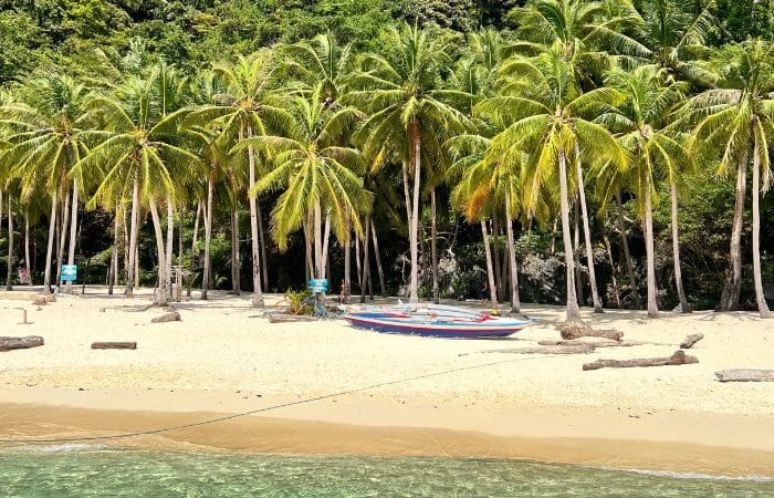 Seven comandos beach