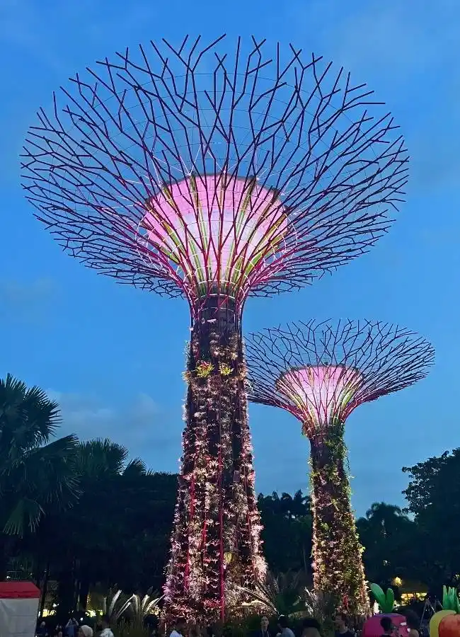 Estructuras Supertree Grove iluminadas de noche en Gardens by the Bay.
