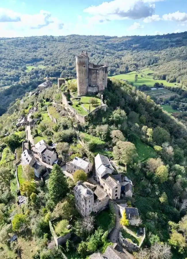 Castillo medieval y pueblo en colina boscosa bajo cielo azul.